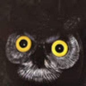 Meet your Posher, Ella's